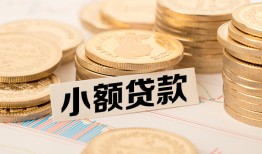 成都成华区哪里有小额贷款-成都成华区身份证贷款平台-成都成华区民间短借